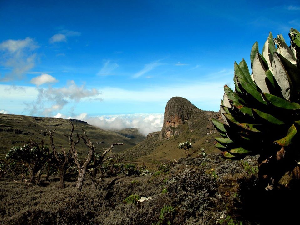 Mount Elgon 01