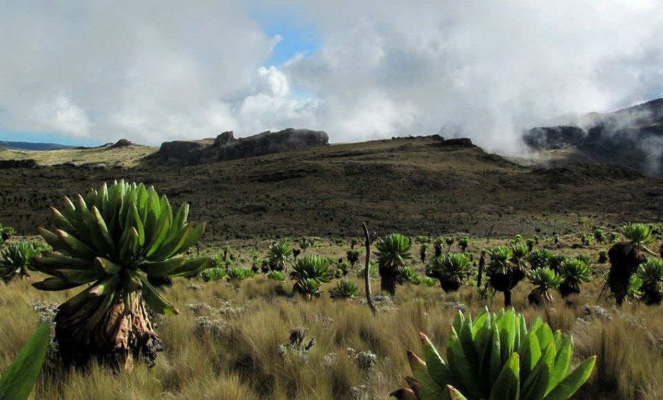 Mount Elgon 02