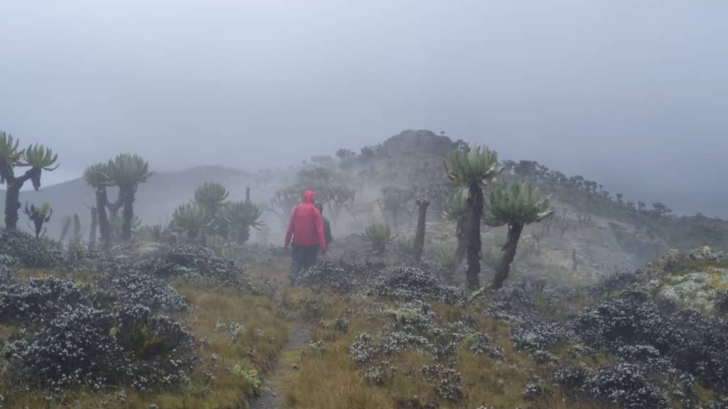 Mount Elgon 06