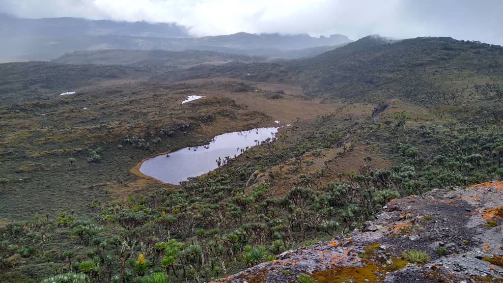 Mount Elgon 07