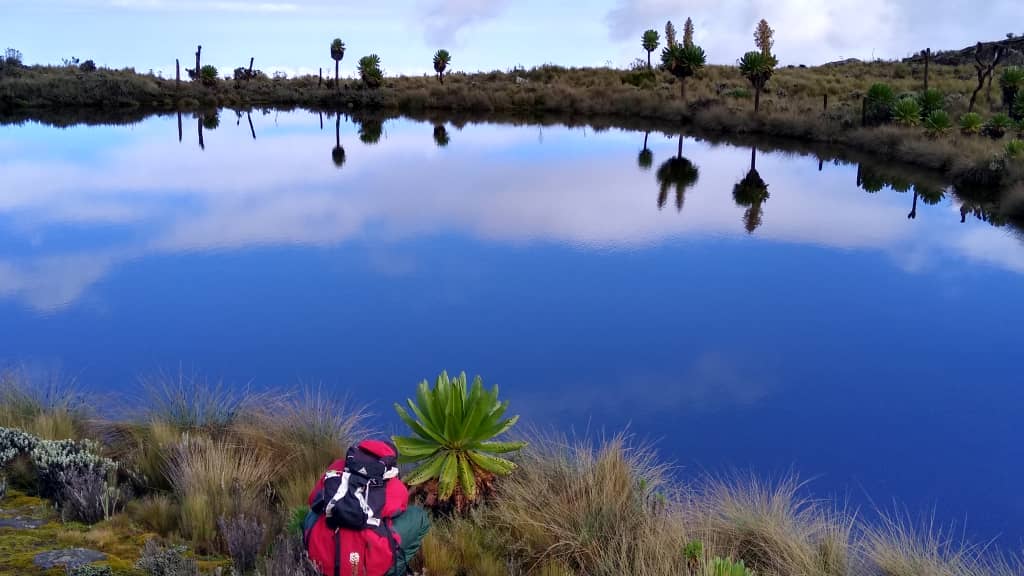 Mount Elgon 08