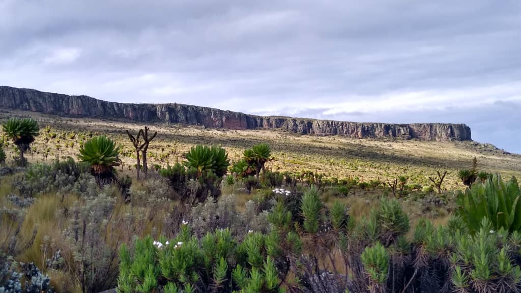 Mount Elgon 09