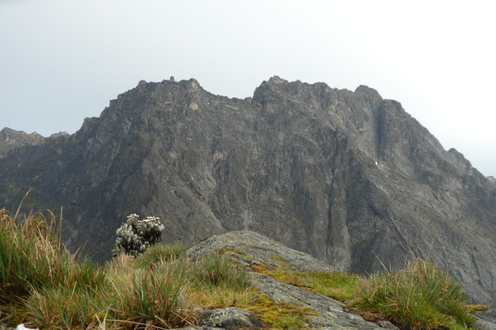 Rwenzori Mountains 4 (16)