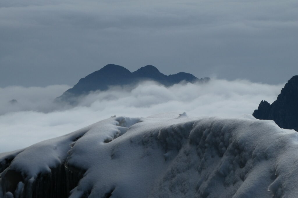 Rwenzori Mountains 5 (14)