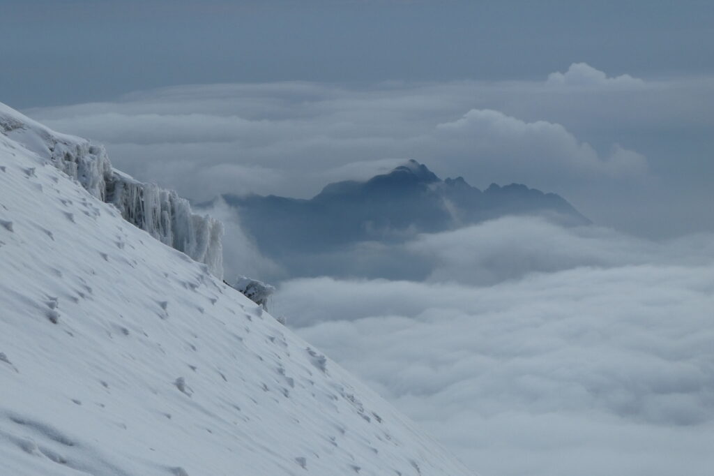 Rwenzori Mountains 5 (19)