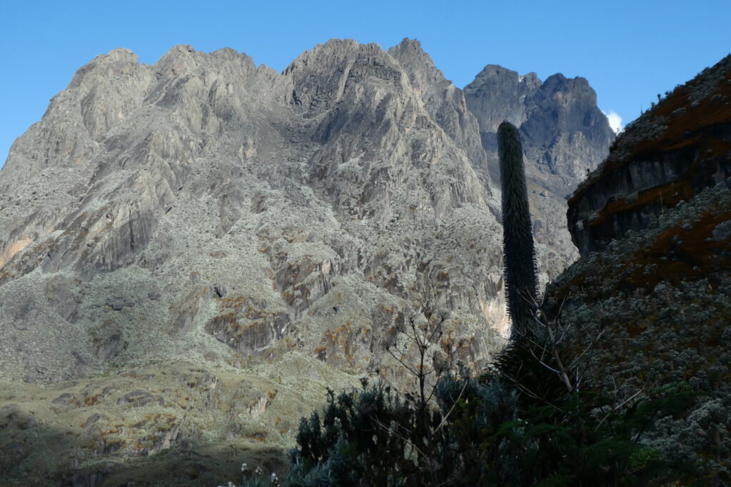 Rwenzori Mountains 6 (3)