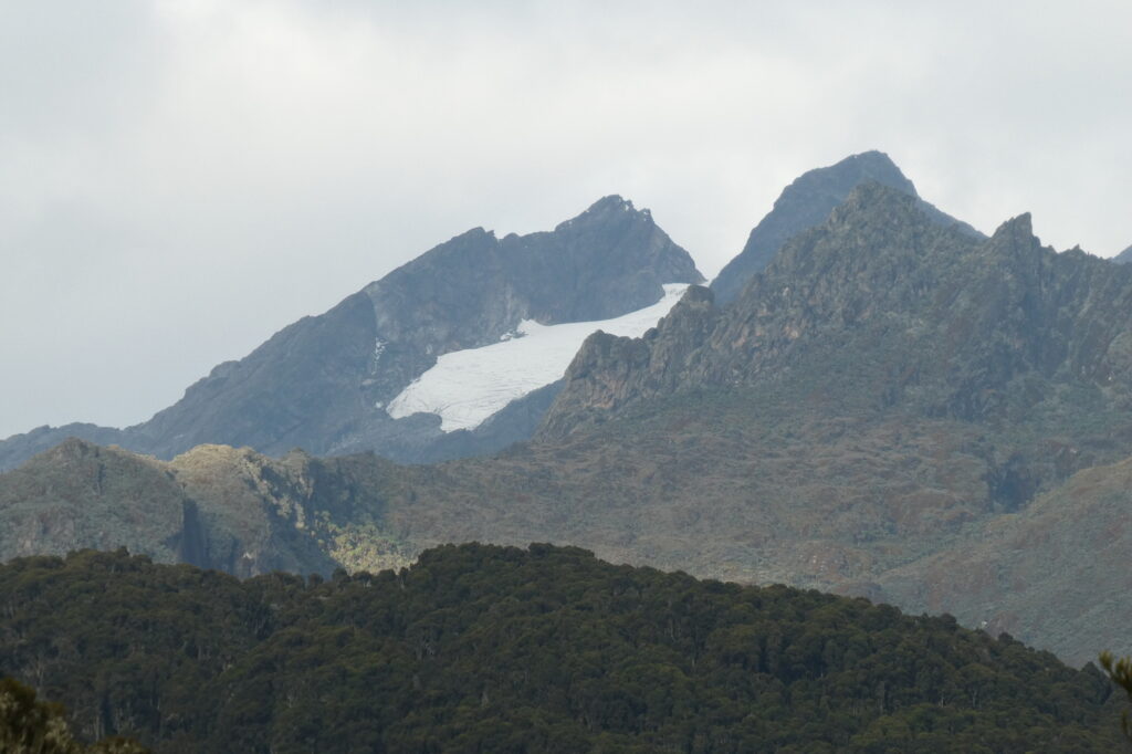 Rwenzori Moutains 03 (2)