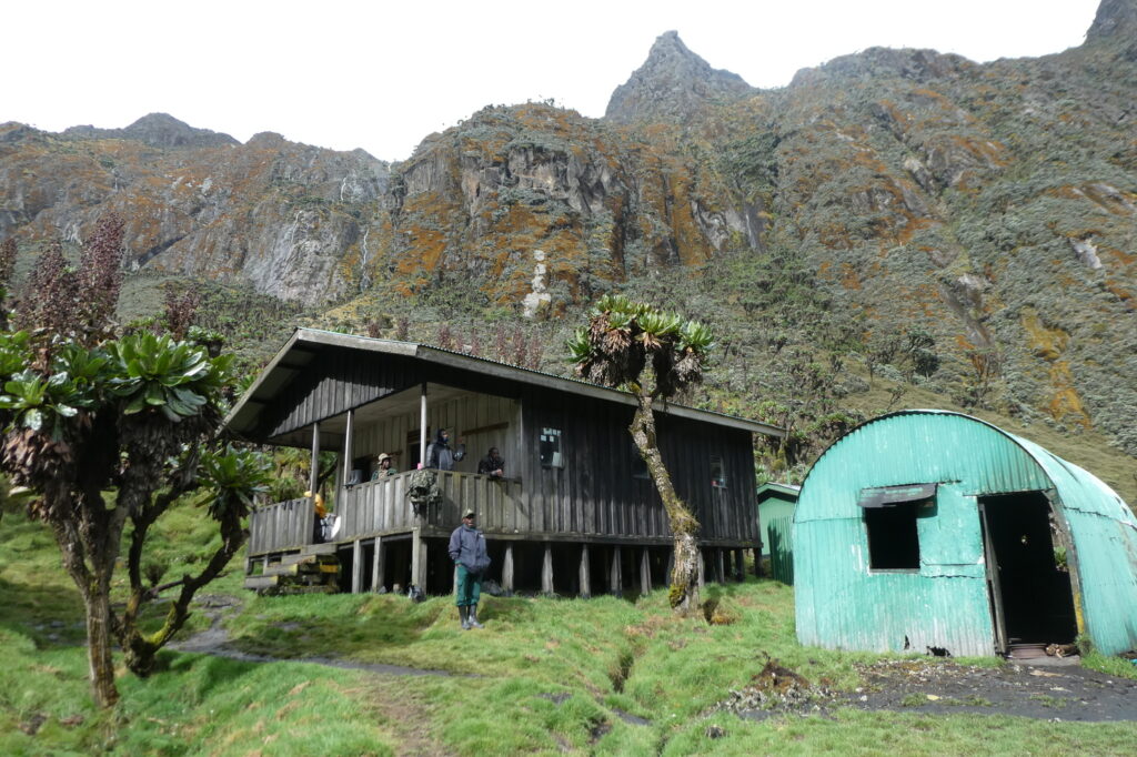 Rwenzori Moutains 03 (41)