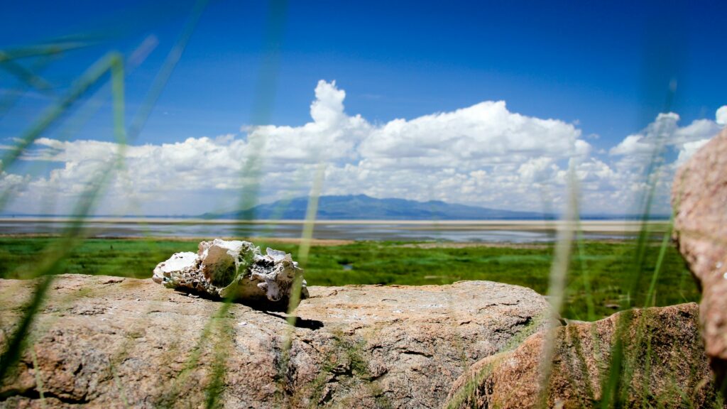 lake manyara